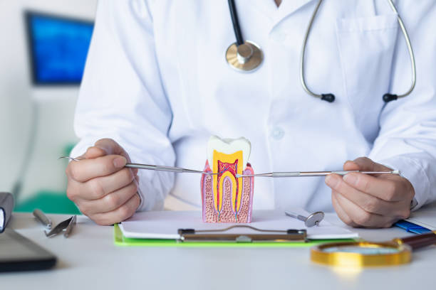 Best Emergency Dental Care for Trauma or Injury in Little Cypress, TX